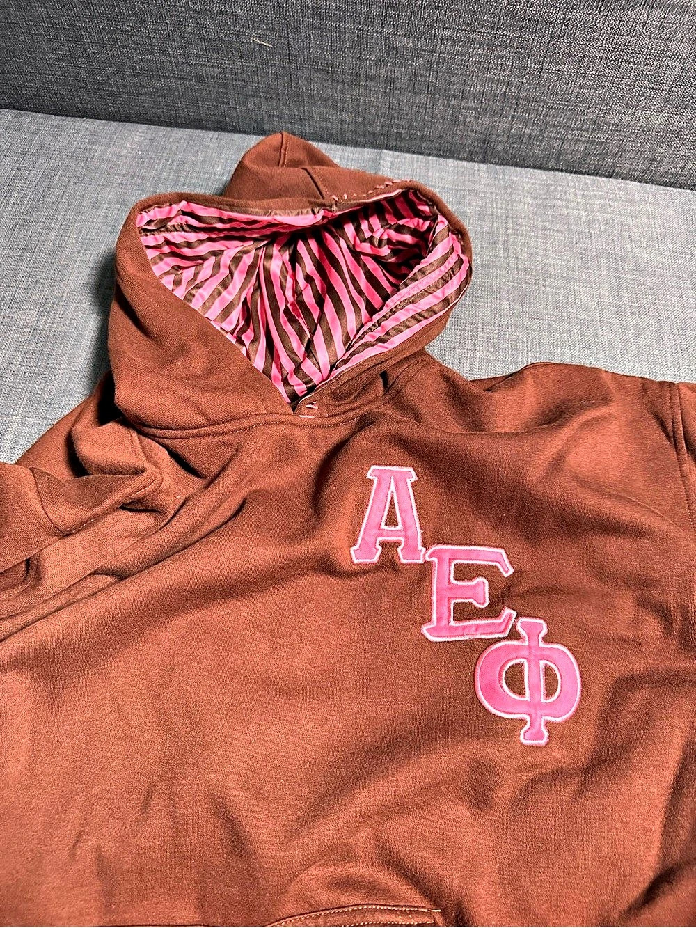 NWOT AEPHI Brown & Pink Graphic Hoodie